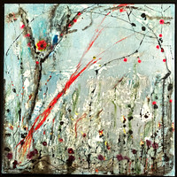 renewal 20x20
