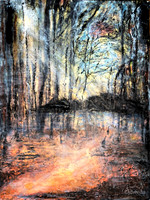 path to the reservoir 18x24