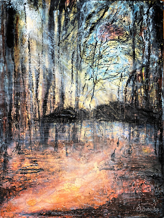 path to the reservoir 18x24