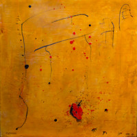 transmutation 20x20