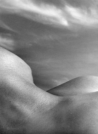 bodyscape